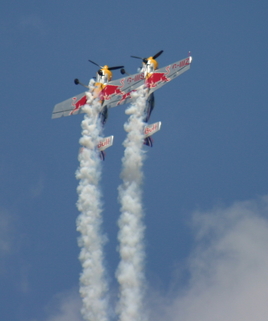 Team Trust - Red Bull branded airplanes