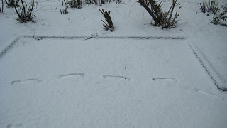 Footprint